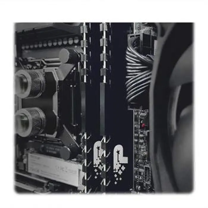 رم پاتریوت مدل Signature Premium DDR5 5600MHz CL46 با ظرفیت 32 گیگابایت دو کاناله -gallery-2