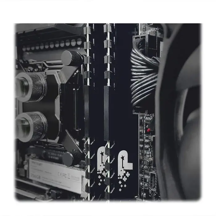 رم پاتریوت مدل Signature Premium DDR5 5600MHz CL46 با ظرفیت 32 گیگابایت دو کاناله -gallery-6