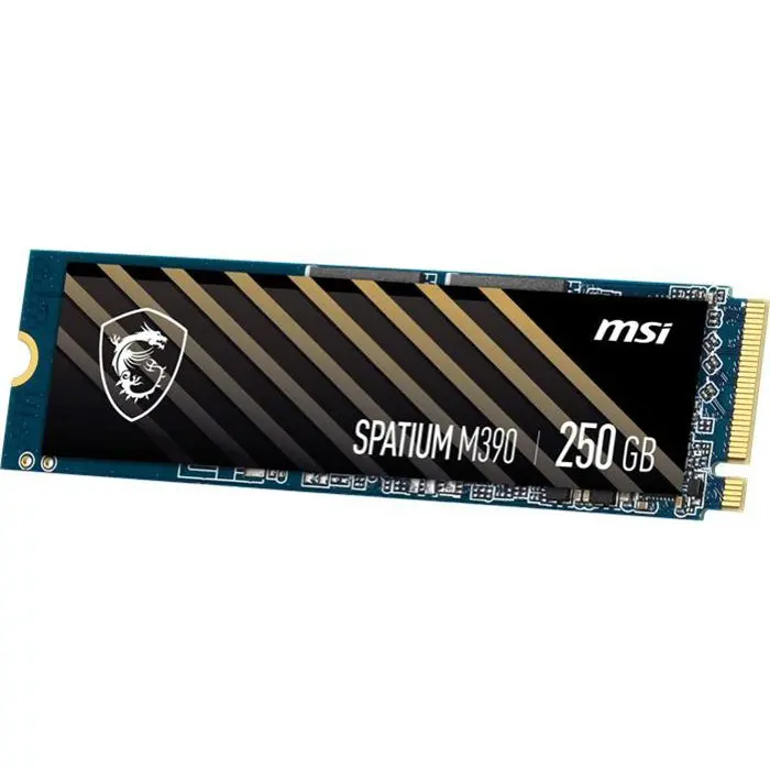 اس اس دی اینترنال ام اس آی مدل SPATIUM M390 NVMe M.2 ظرفیت 250GB -gallery-6