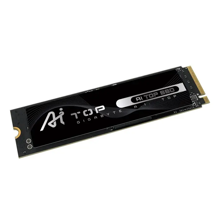 اس اس دی اینترنال گیگابایت AI TOP 100E ظرفیت 320 گیگابایت -gallery-4
