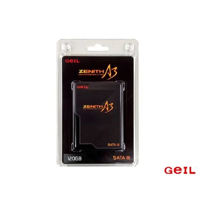 حافظه SSD گیل مدل Zenith A3 ظرفیت 120 گیگابایت -gallery-15