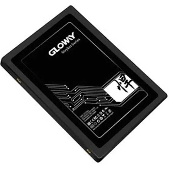 حافظه SSD گلووی مدل Stryker Series ظرفیت 256 گیگابایت -gallery-2