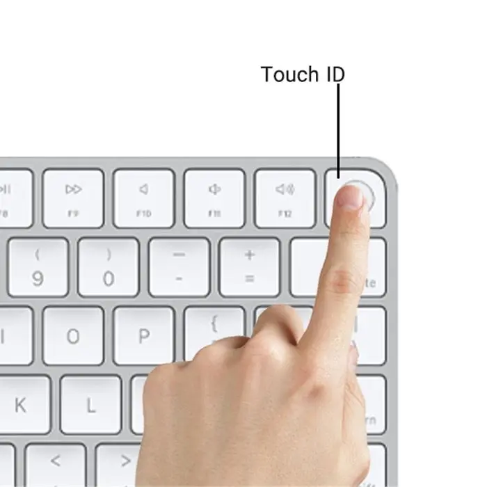 کیبورد بی‌سیم اپل مدل Magic Keyboard Silver US English With Touch ID MK293 -gallery-2