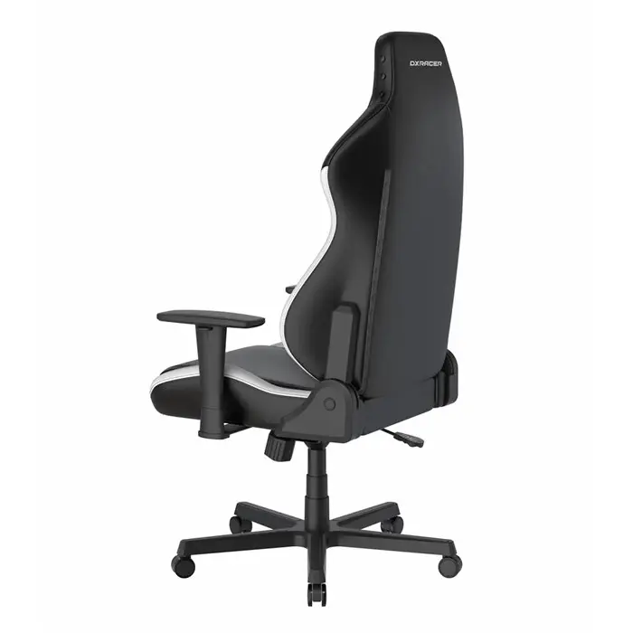صندلی گیمینگ دی ایکس ریسر مدل Drifting Series 2025 L Black White -gallery-3