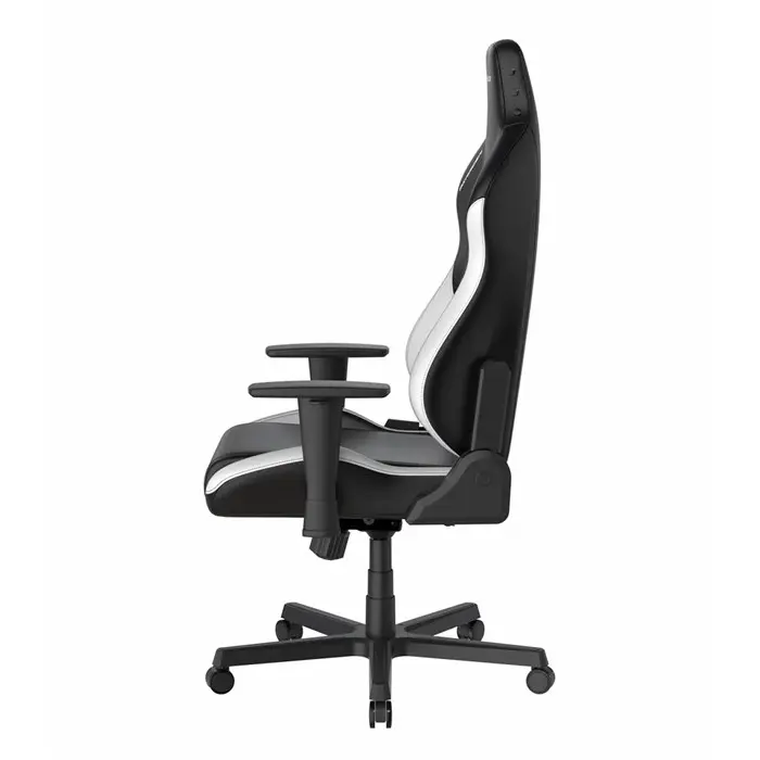 صندلی گیمینگ دی ایکس ریسر مدل Drifting Series 2025 L Black White -gallery-5