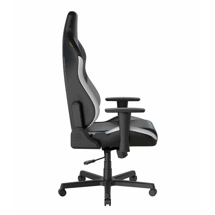 صندلی گیمینگ دی ایکس ریسر مدل Drifting Series 2025 L Black White -gallery-6