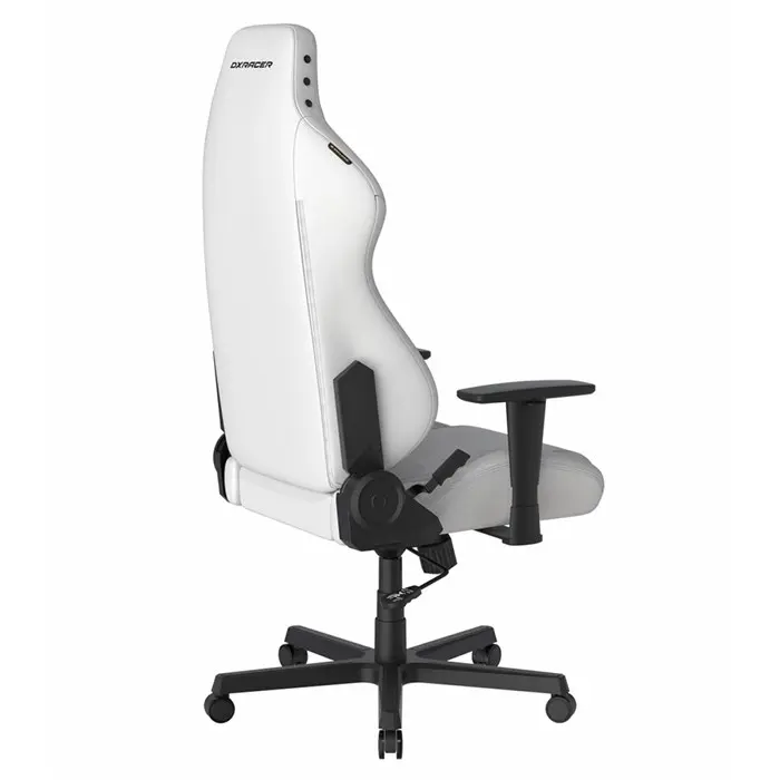 صندلی گیمینگ دی ایکس ریسر مدل Drifting Series 2025 L White -gallery-14