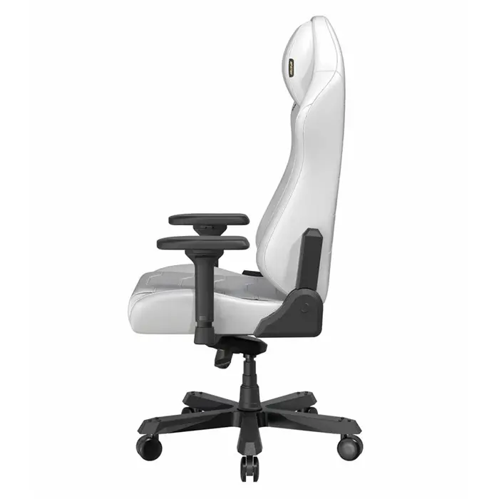 صندلی گیمینگ دی ایکس ریسر مدل Master Series 2025 XL White -gallery-13