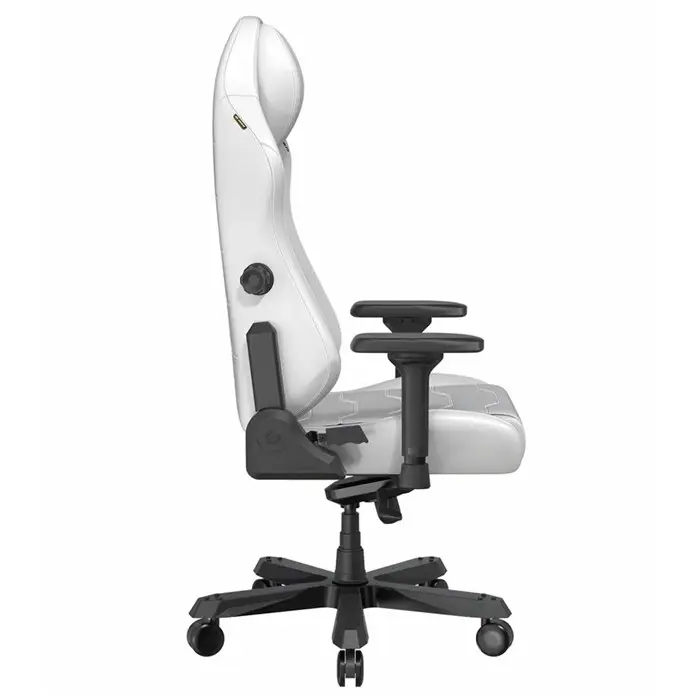 صندلی گیمینگ دی ایکس ریسر مدل Master Series 2025 XL White -gallery-4