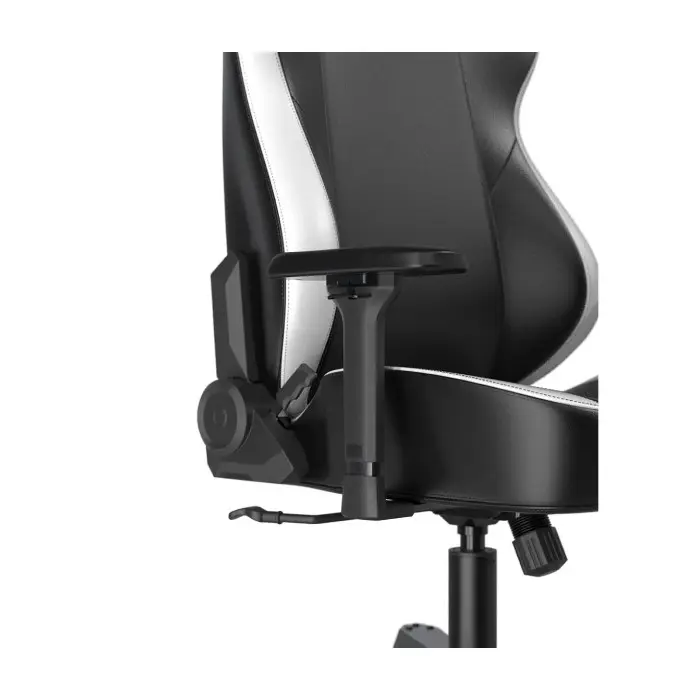 صندلی گیمینگ دی ایکس ریسر Tank Series 2025 Black White -gallery-15