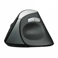 gallery item