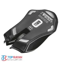 gallery item