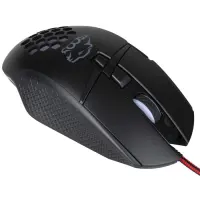 gallery item