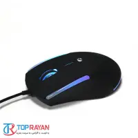 gallery item
