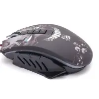 gallery item