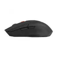 product title