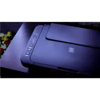 gallery item