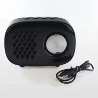 gallery item