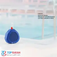 gallery item