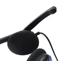 gallery item