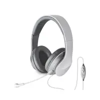 gallery item
