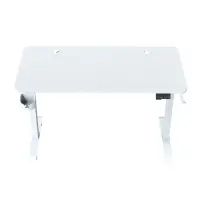 gallery item