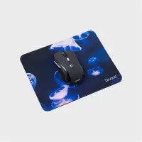 gallery item