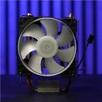 gallery item