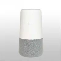 gallery item