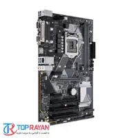 gallery item