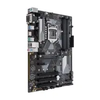 gallery item