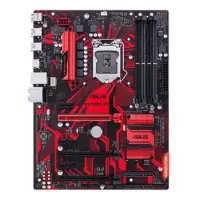 gallery item