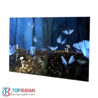 gallery item